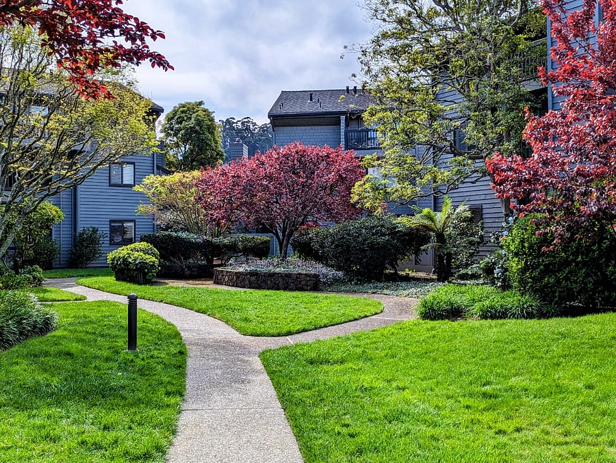 Paths through the complex