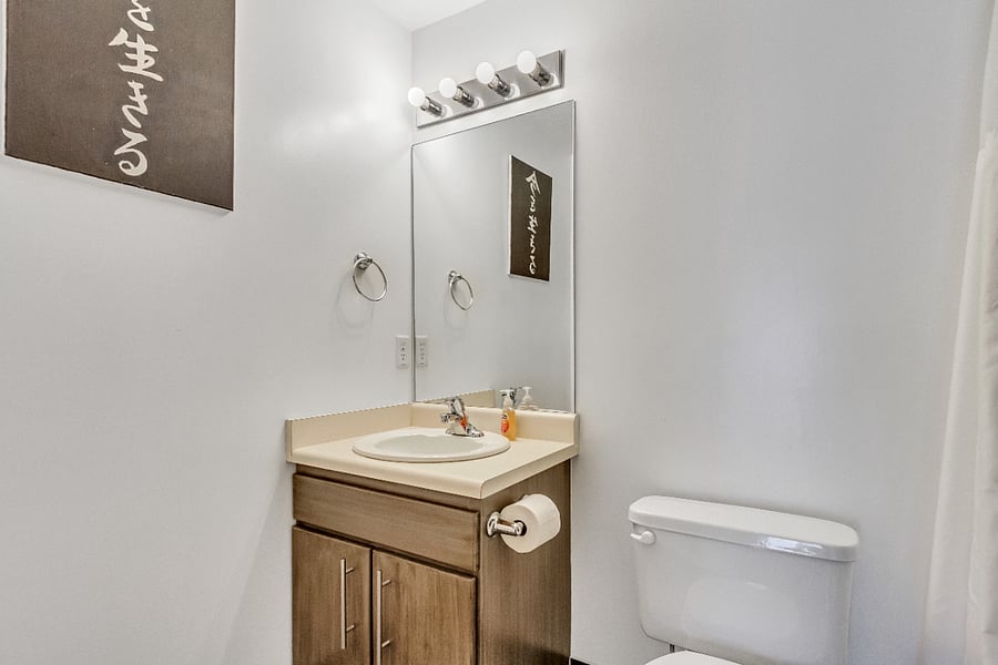 Basement Bathroom