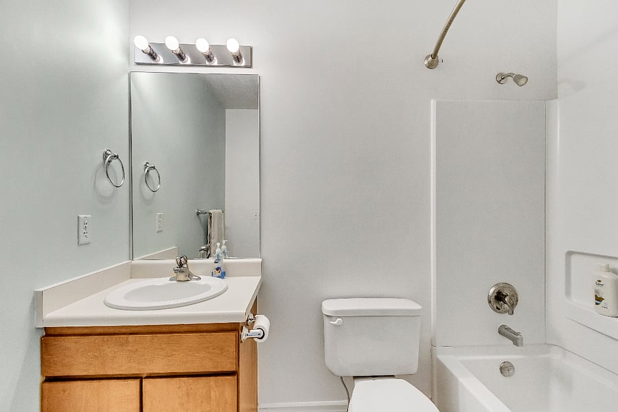 Guest Bathroom/Hall Bathroom
