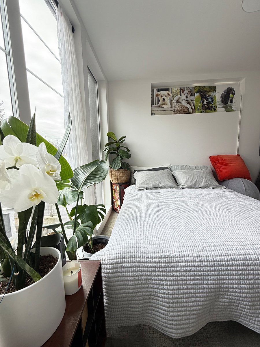 Furnished Finder property 677978_1 photo 3