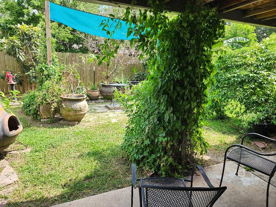 Furnished Finder property 678016_1 photo 33