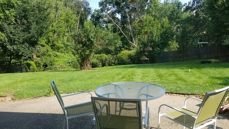 Patio & Back Yard