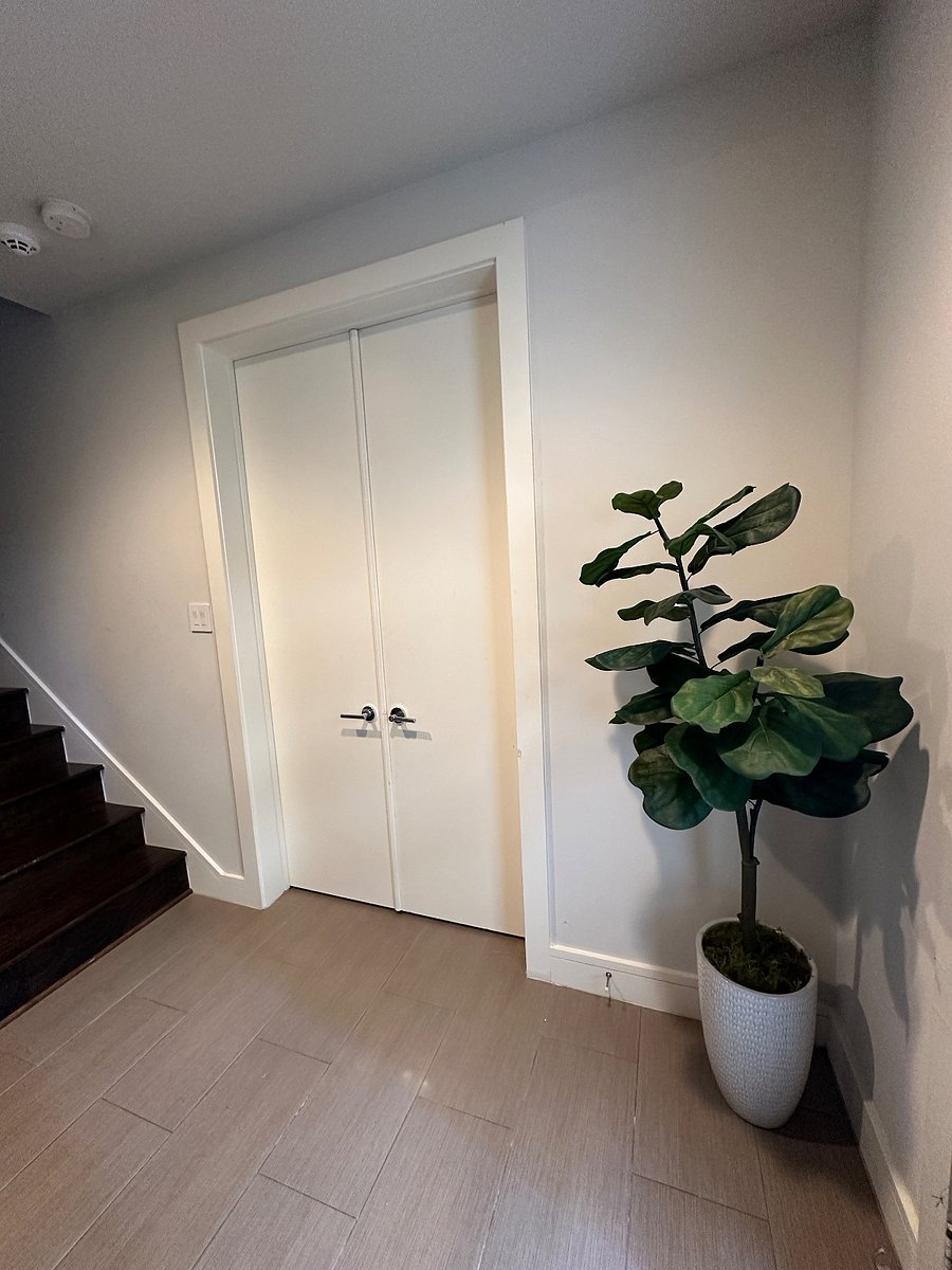 Furnished Finder property 678099_1 photo 3