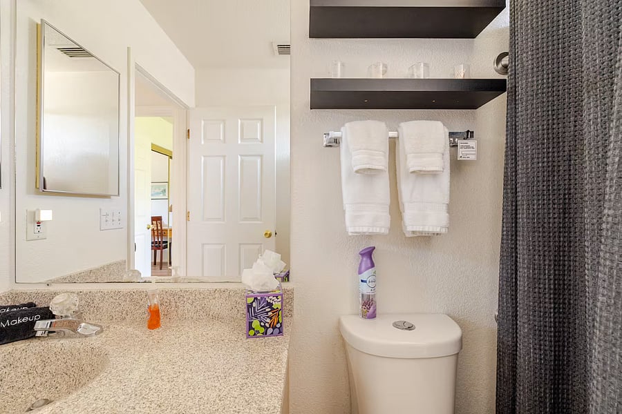 Bathroom with daylight lighting for cosmetic accuracy