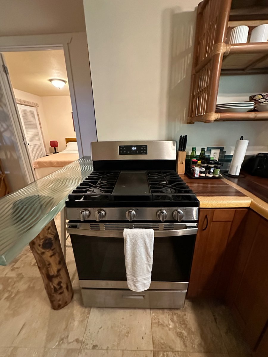 Gas stove