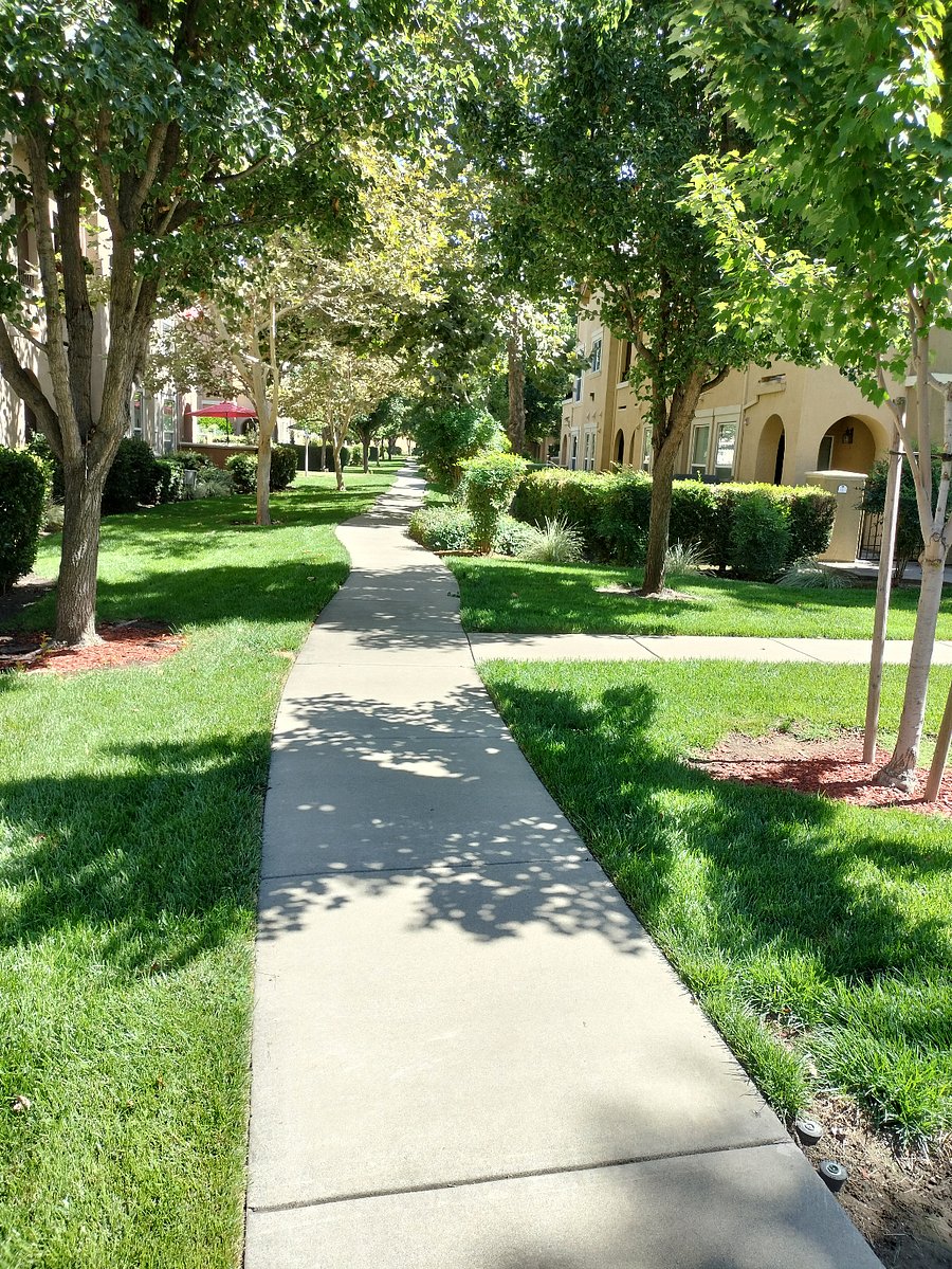 Furnished Finder property 678516_1 photo 9