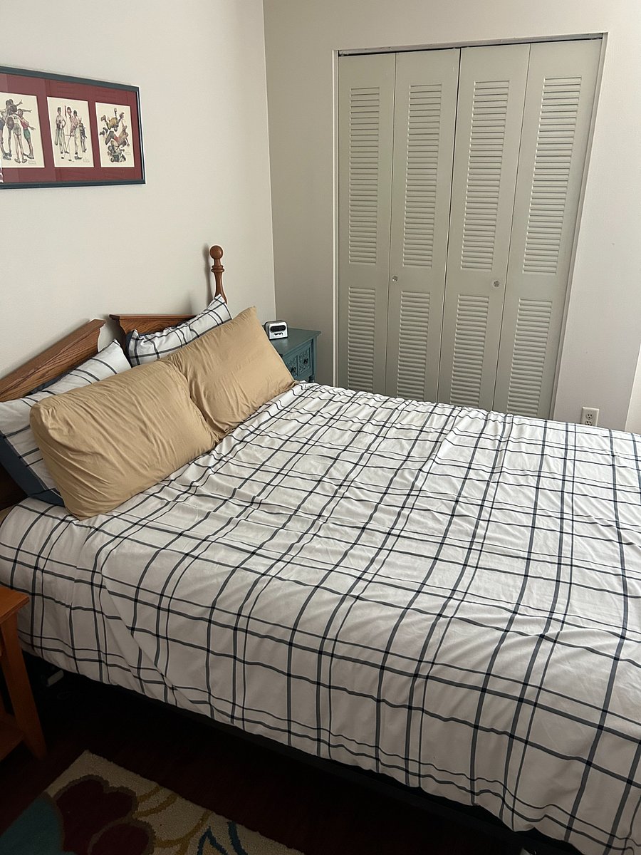 second bedroom with a queen bed.