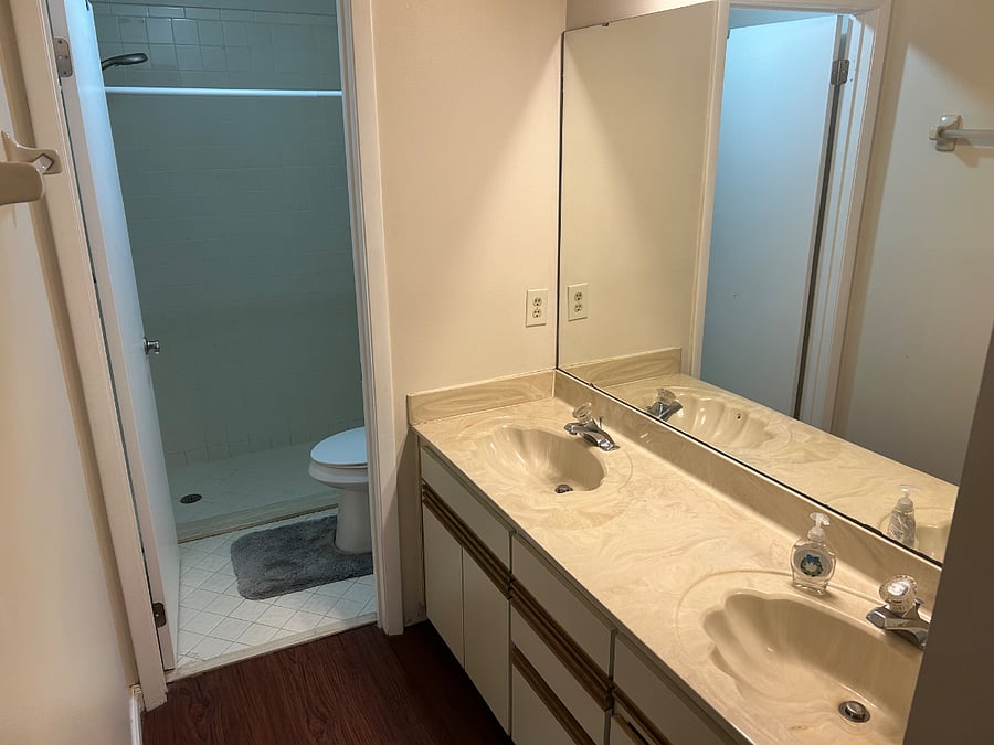 Master Bathroom with walk-in Shower.