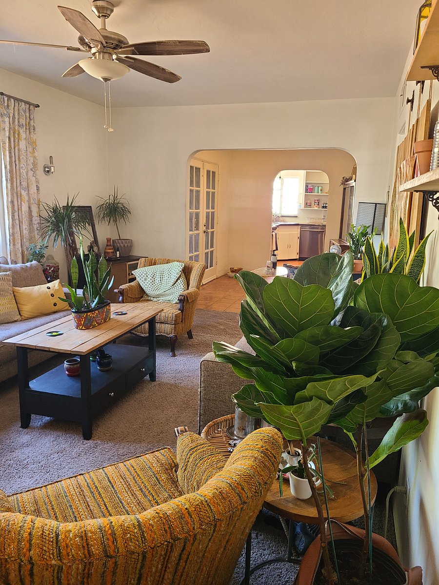 Furnished Finder property 678565_1 photo 16
