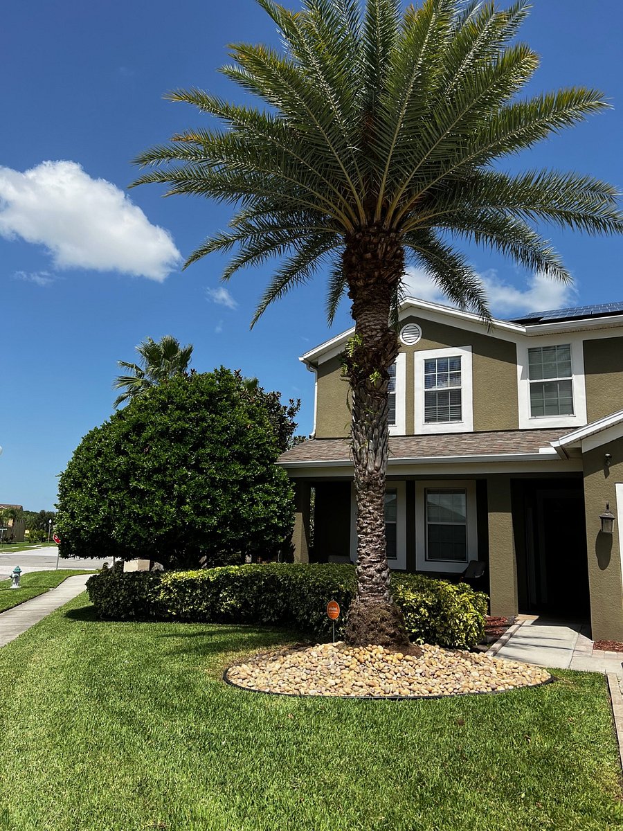 Furnished Finder property 678632_1 photo 3