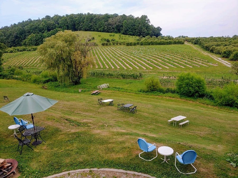 View from the cidery. We are located in those trees at the top of the hill
