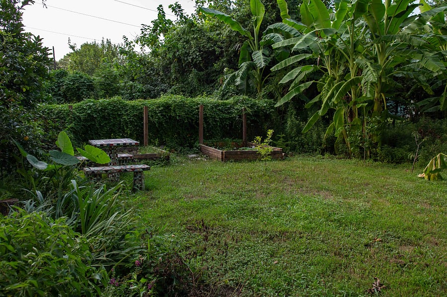 table and garden beds
