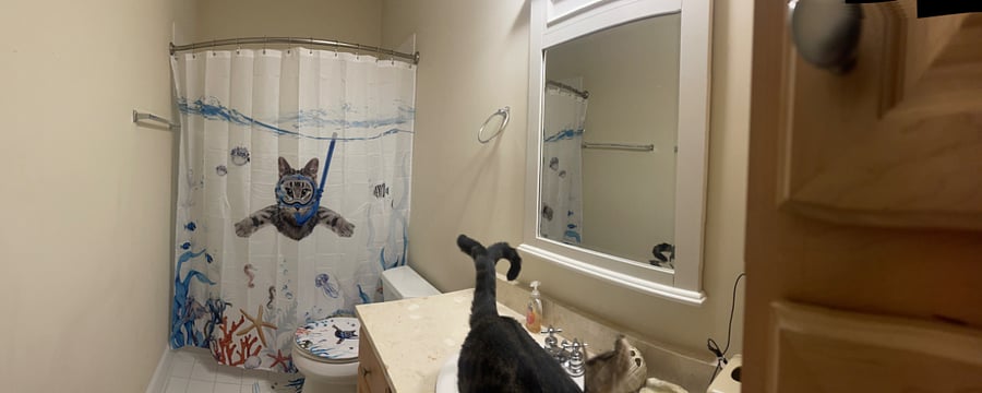 Furnished Finder property 678906_1 photo 11