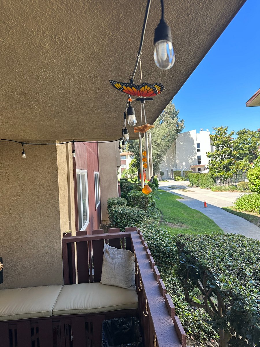 Furnished Finder property 679026_1 photo 85