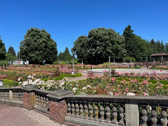 Nearby rose garden at Peninsula Park