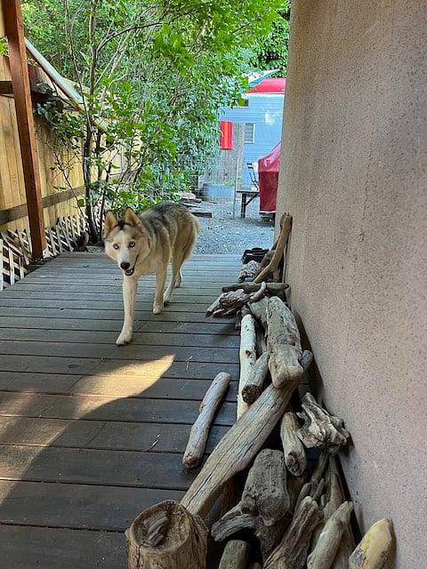 Brook was just visiting.