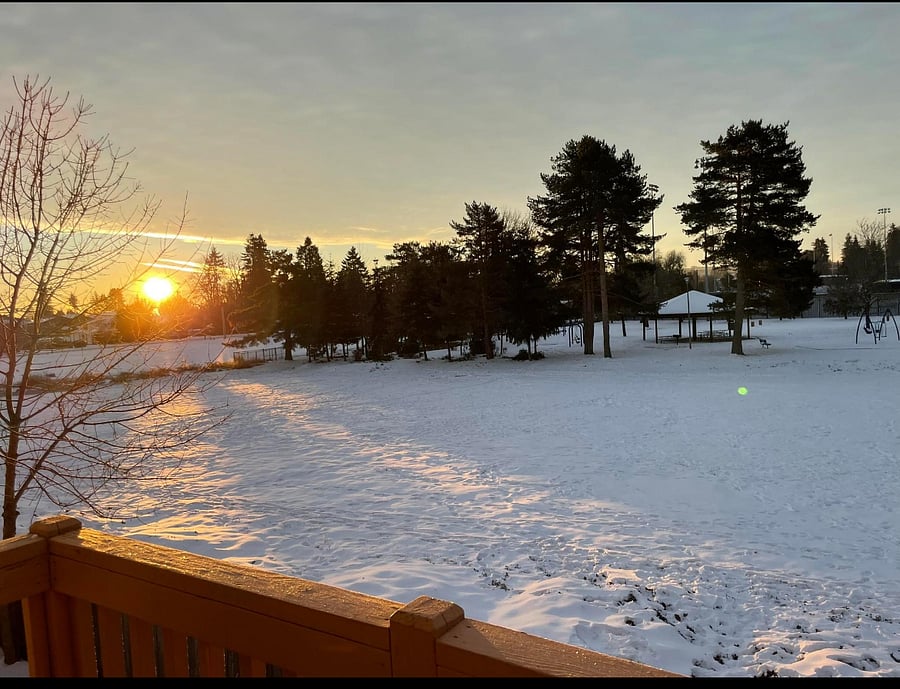 View from living room balcony/sliding door.