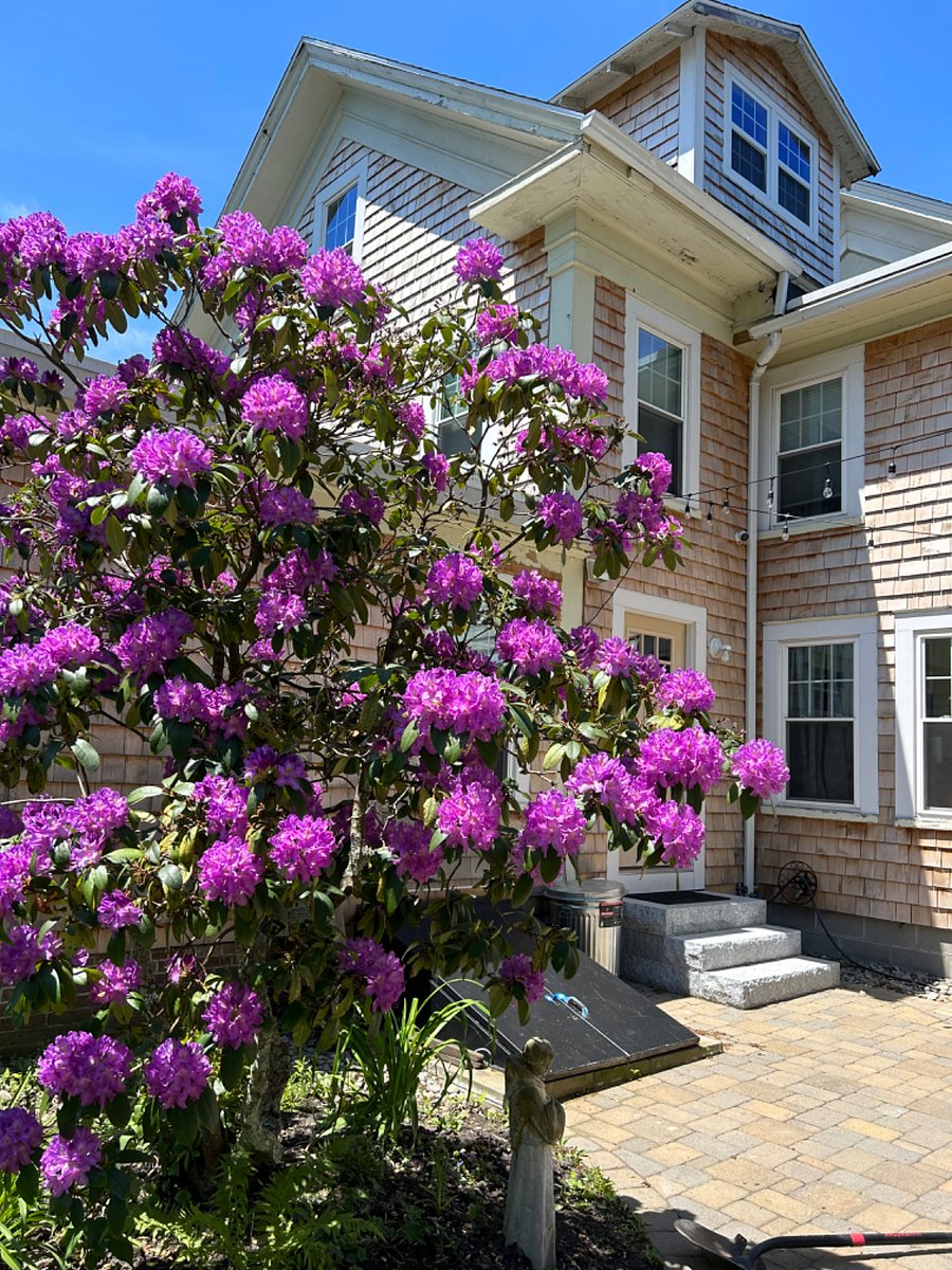 Furnished Finder property 679130_1 photo 12