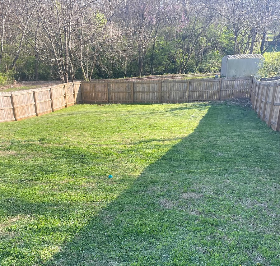 Fully fenced in back yard. 