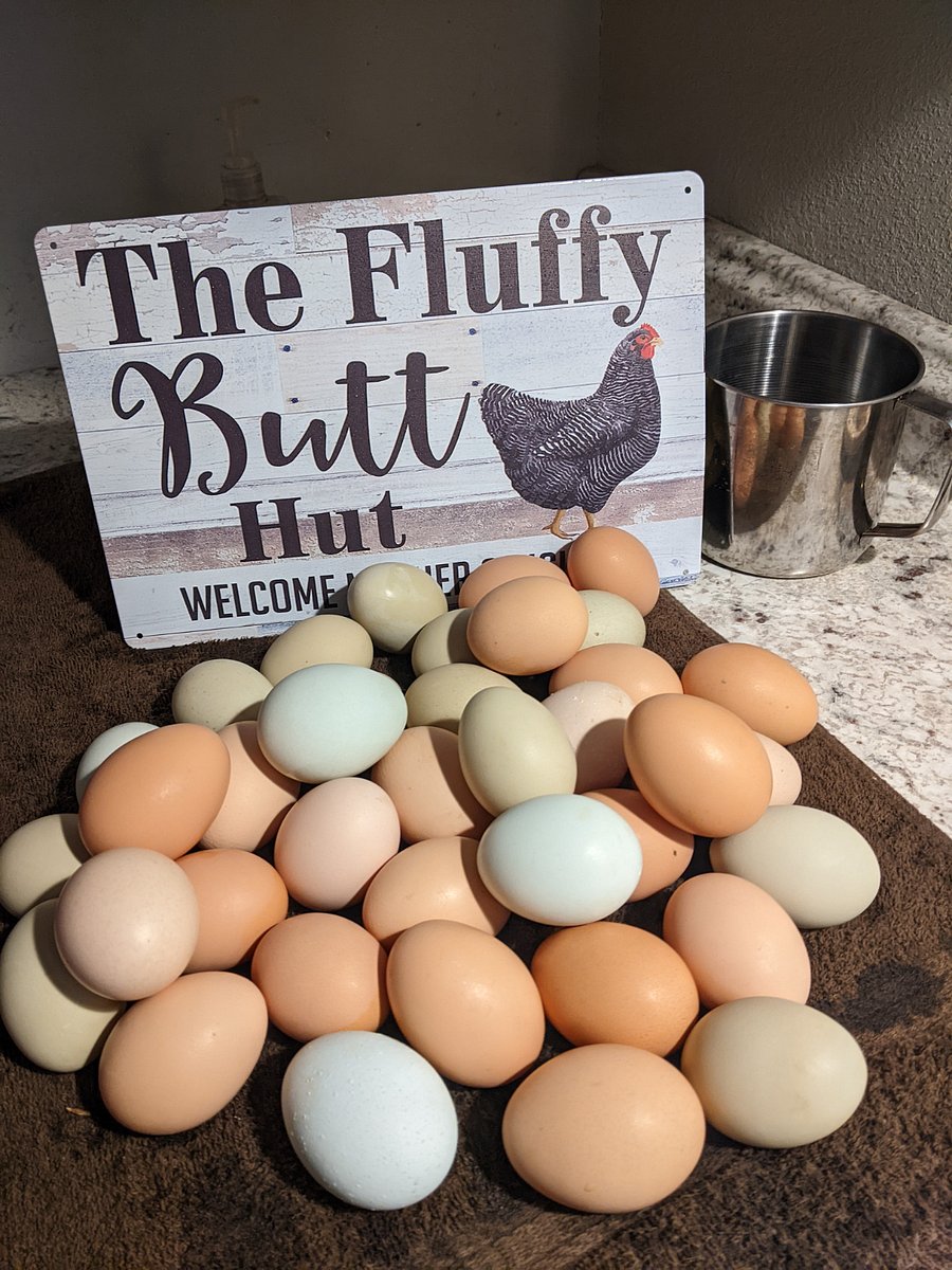A special amenity: farm fresh eggs from the property's flock!