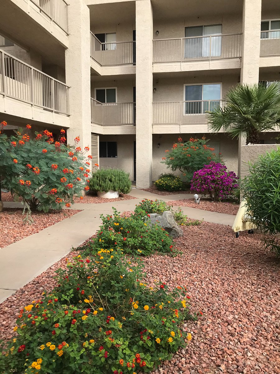 Furnished Finder property 679334_1 photo 3