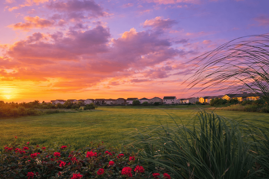 Enjoy the amazing view of the sunset.