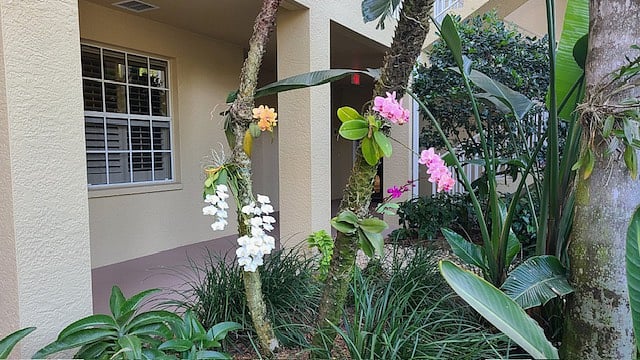 Front entrance courtyard