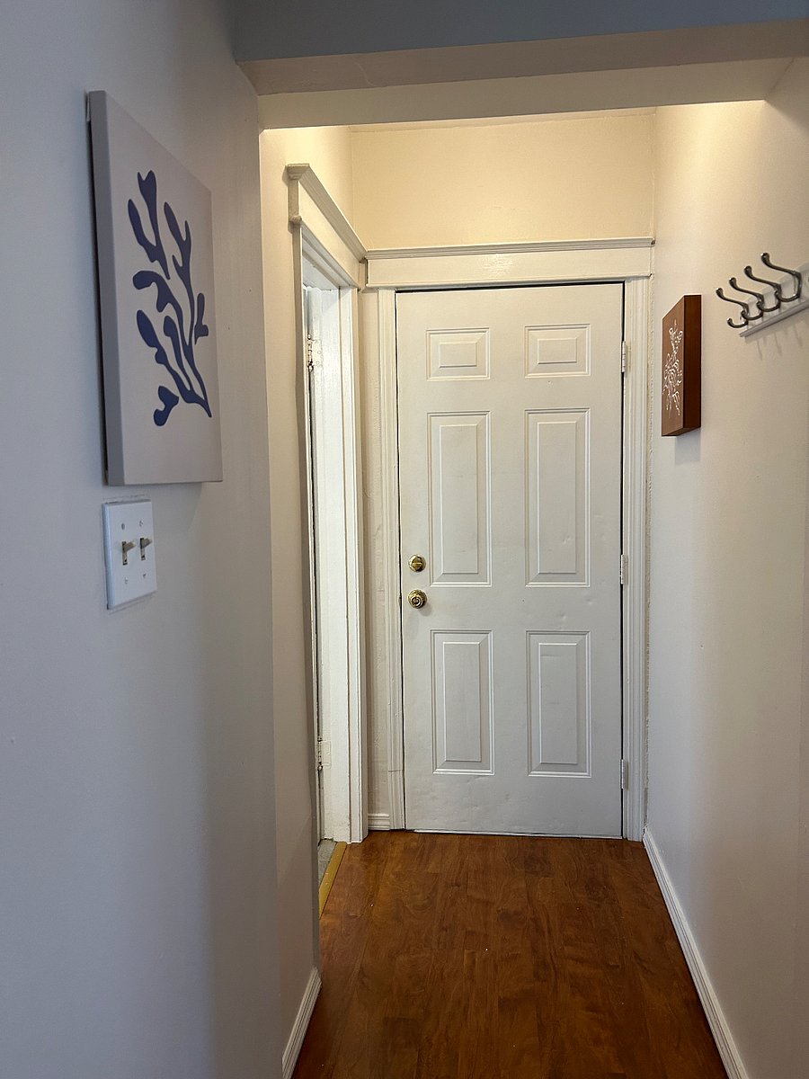 Back door leads into hall and stairs to basement.