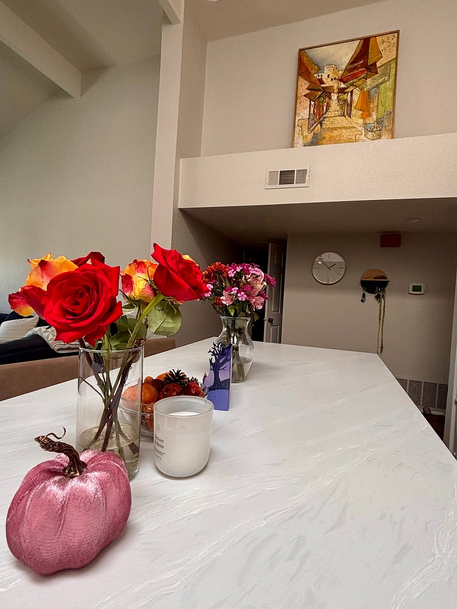 Furnished Finder property 679699_1 photo 17