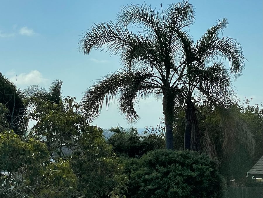 Oceanview from upstairs bedroom