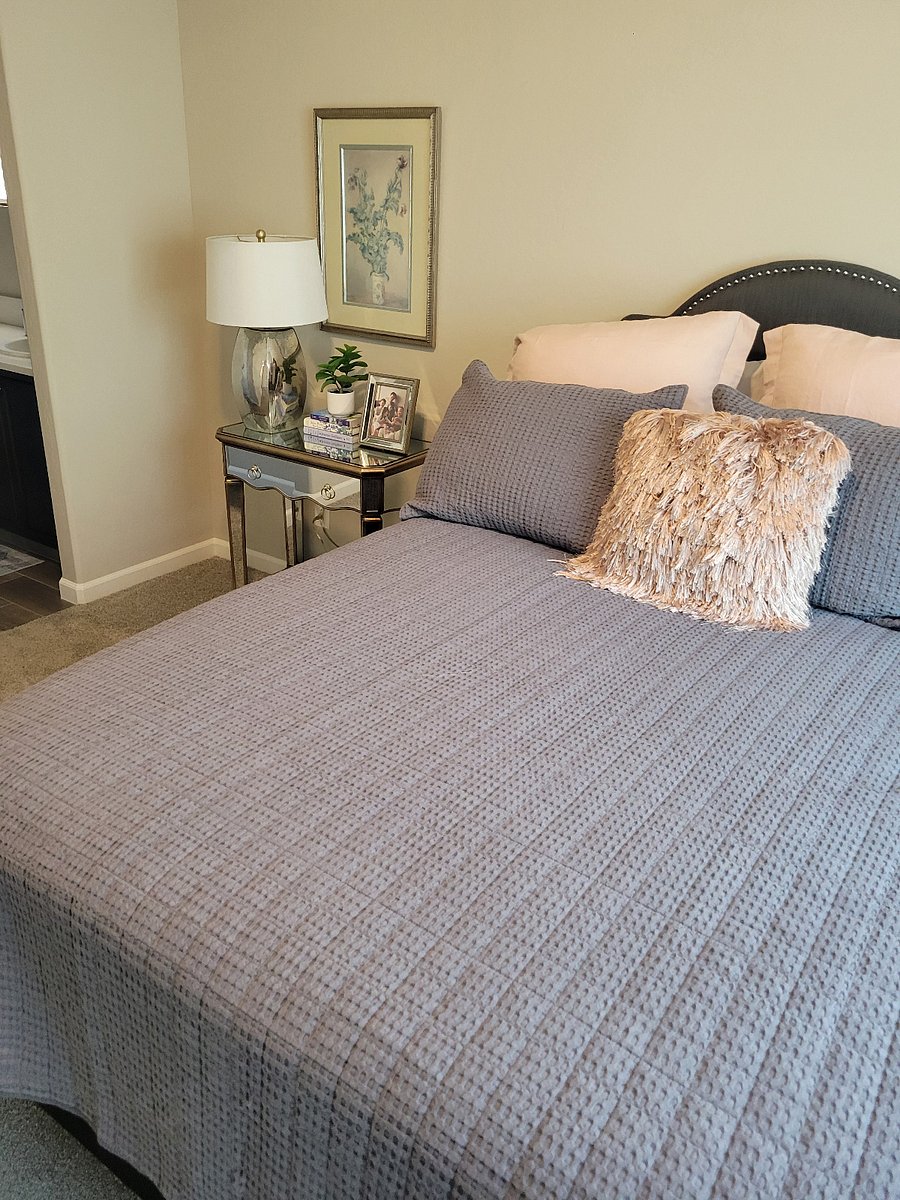 Furnished Finder property 680119_1 photo 13
