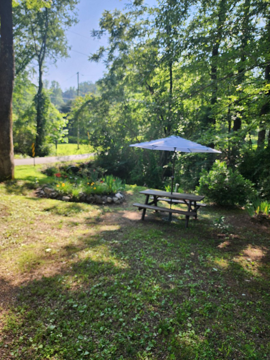 Beautiful picnic area of the yard nestled next to Ridge/Knoll Creek
