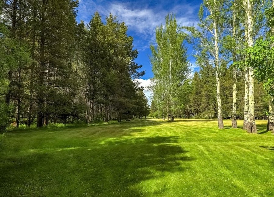 Furnished Finder property 680335_1 photo 3