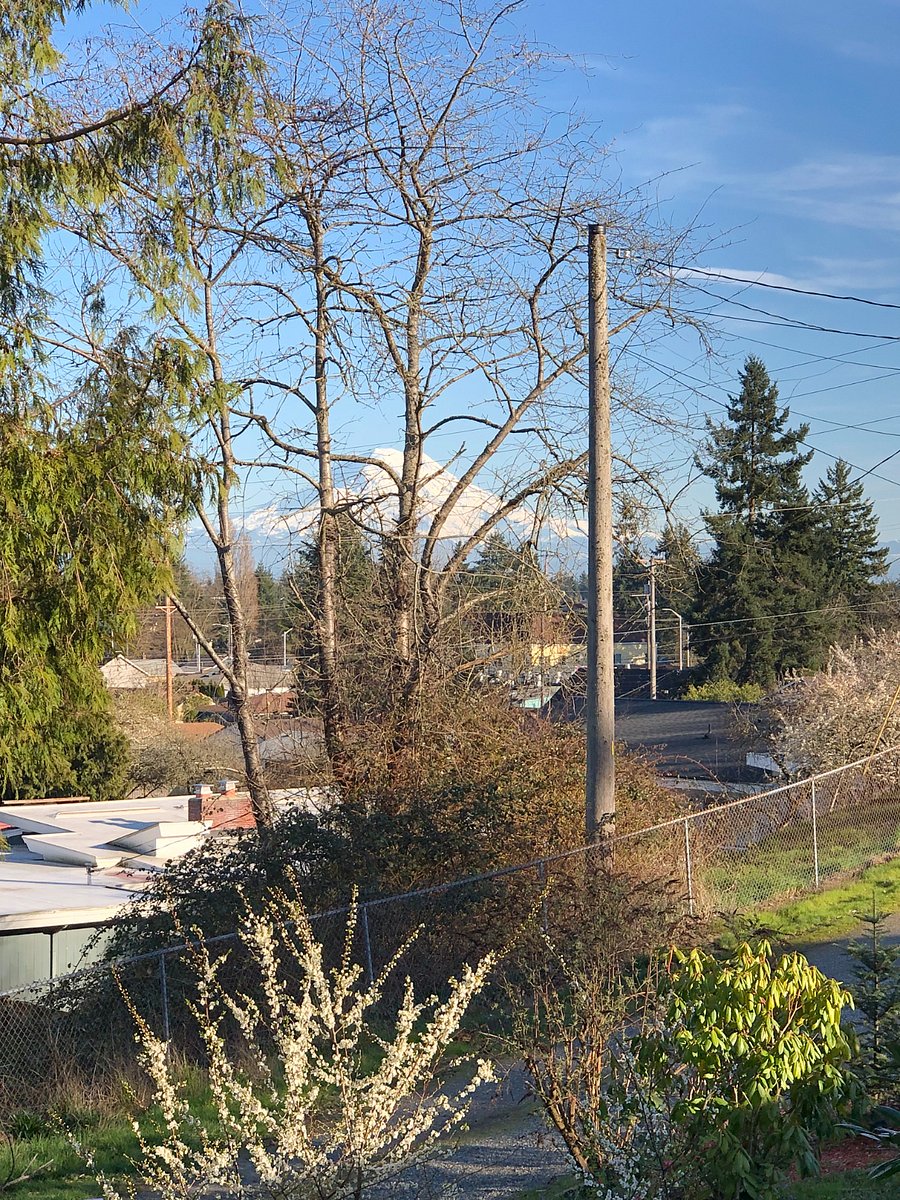 Front garden and view of Mt. Rainier