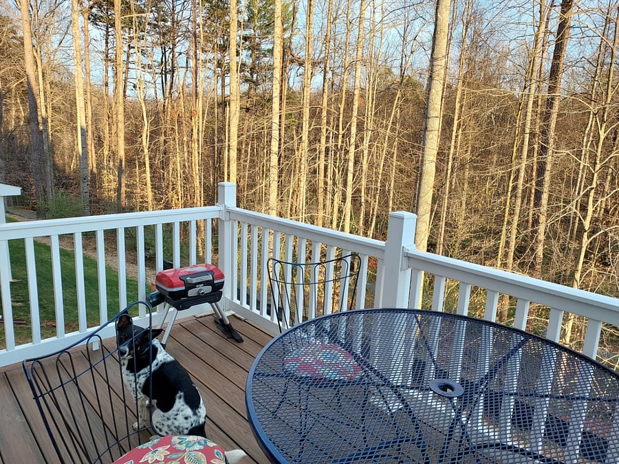 Back porch in the winter (with our dog!)