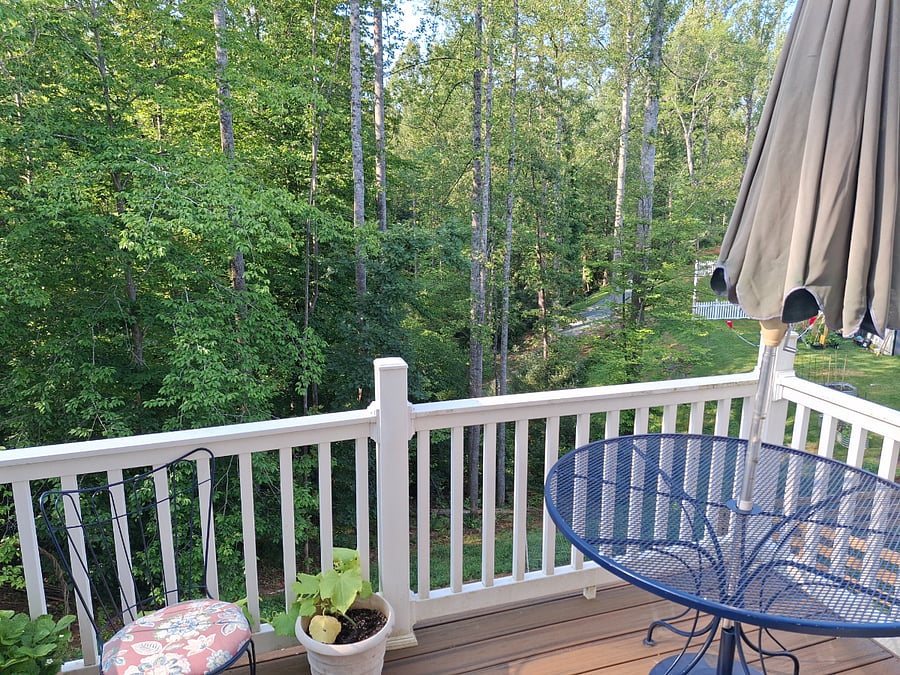 Furnished Finder property 680495_1 photo 23