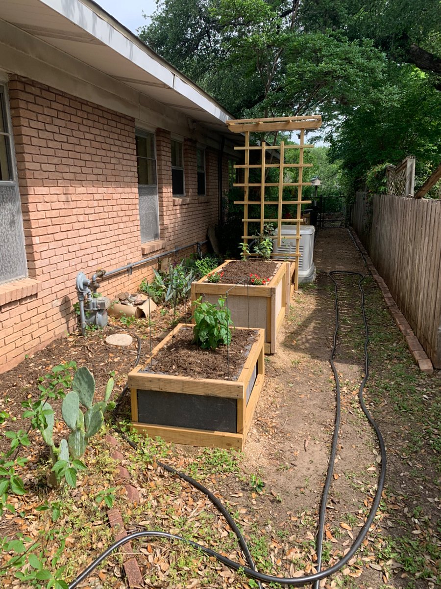 Dahlias, honeysuckle, Salvia and a climbing rose coming soon to a raised bed near you! (Just outside bedroom windows)