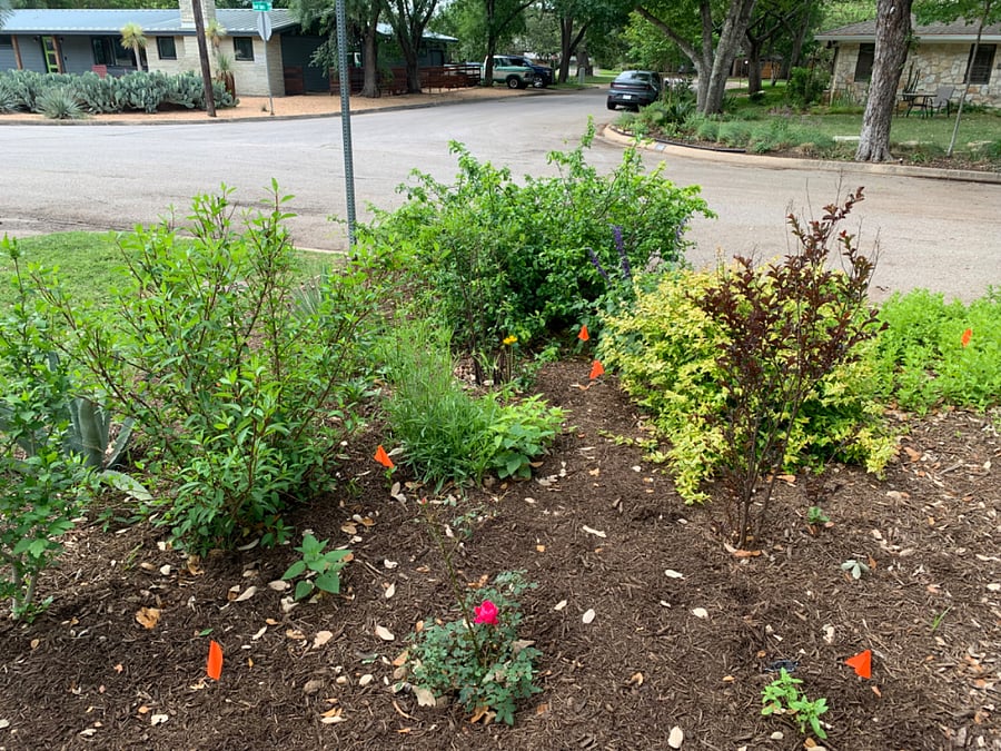 Garden at the street