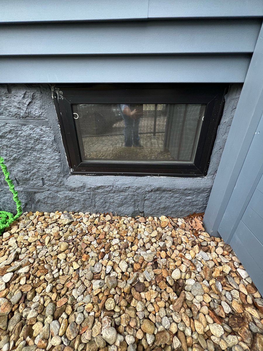 Privacy windows