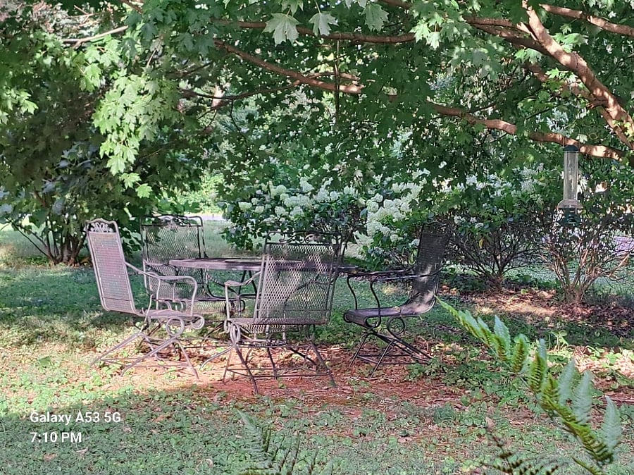 Furnished Finder property 680968_1 photo 20