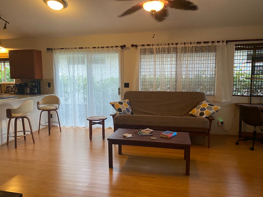 Living room with futon couch that can fold out for additional sleeping.