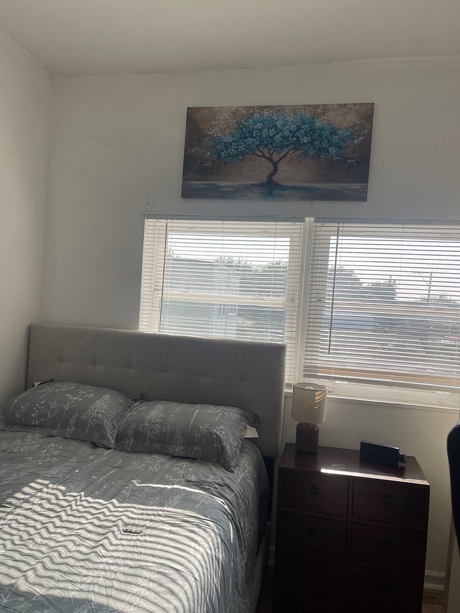 Furnished Finder property 681159_2 photo 15