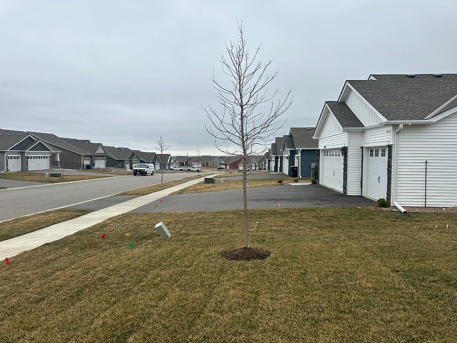 Furnished Finder property 681243_2 photo 11
