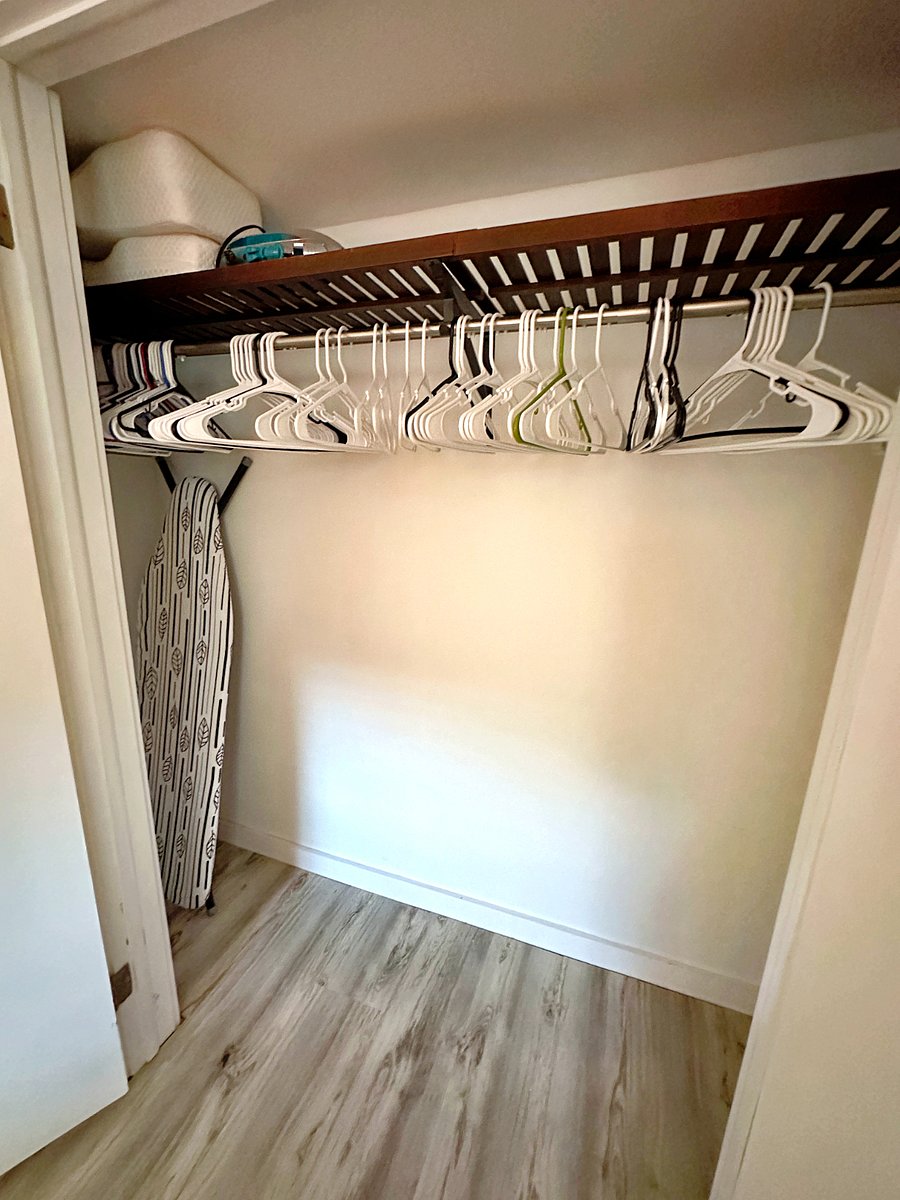 Spacious guestroom closet