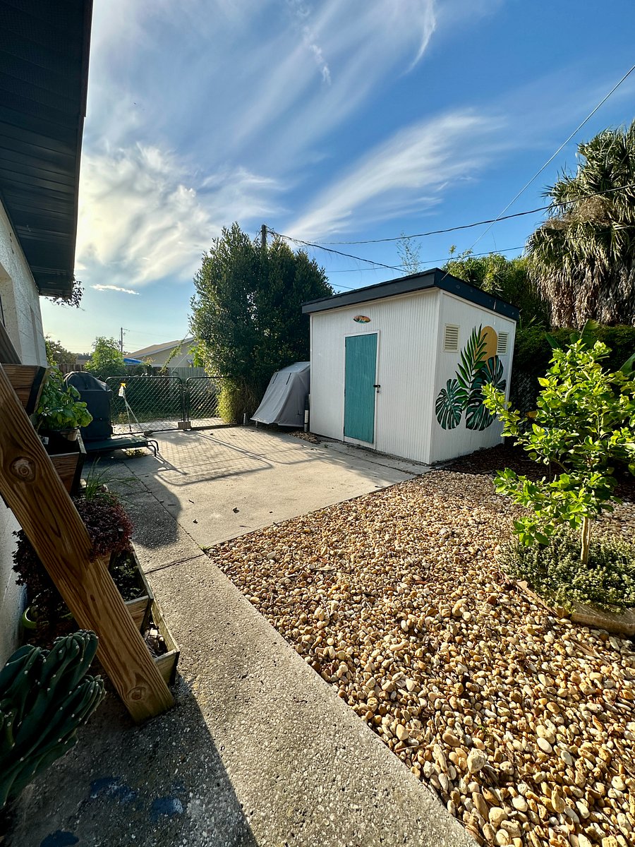 Shed for extra storage (shared with main house tenant)