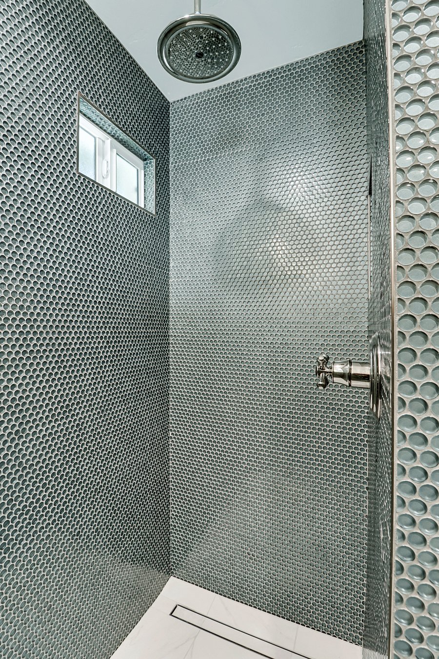 Primary Shower