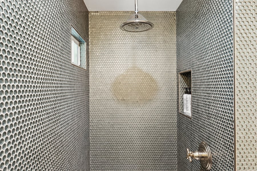 Primary Shower