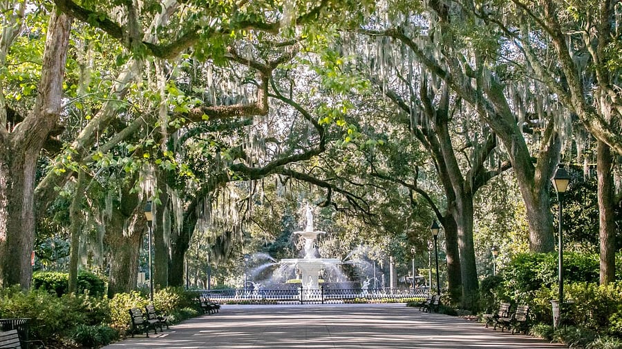 Historic Forsyth Park is a beautiful downtown sanctuary.  Hint: it's a great place to picnic underneath the shade of the mossy oaks!