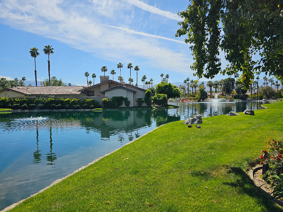 View from Back Patio