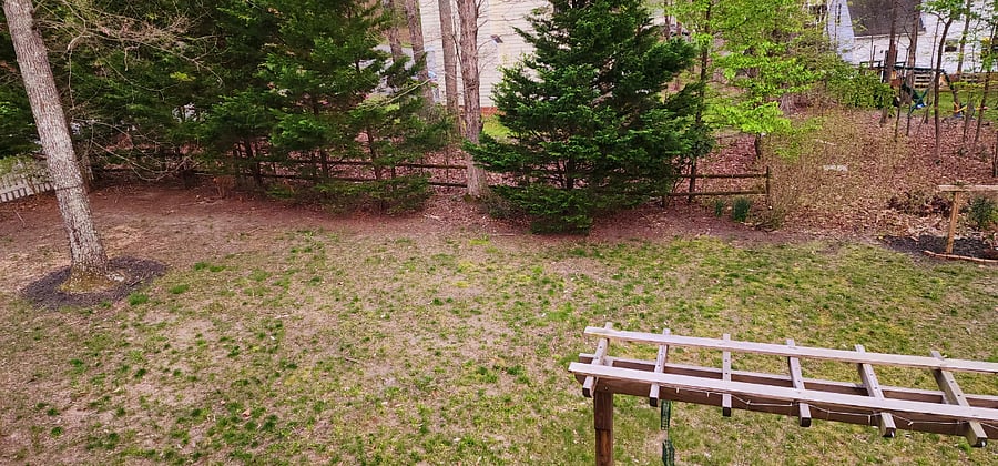 Very quiet tree-lined backyard.